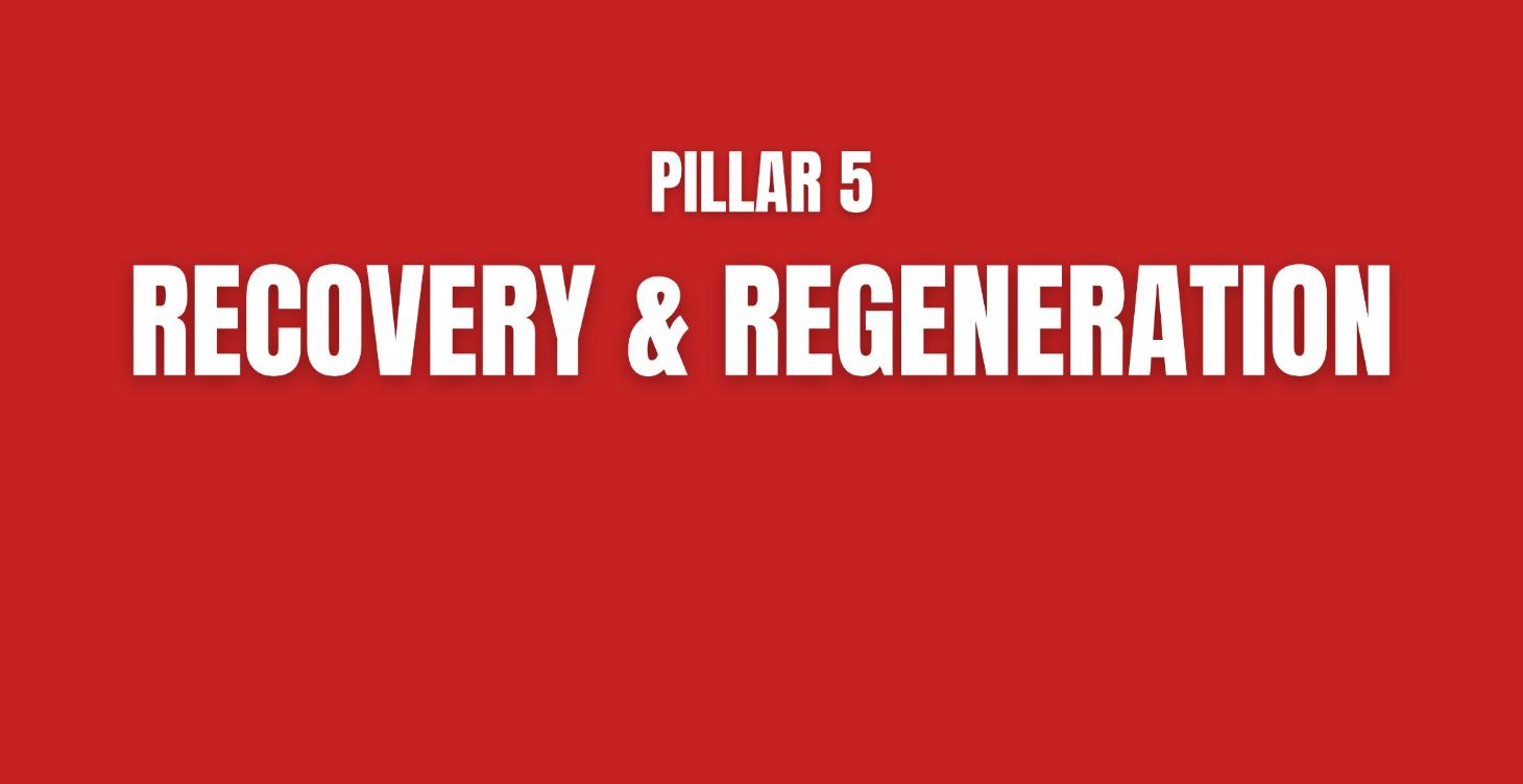 Pillar 5