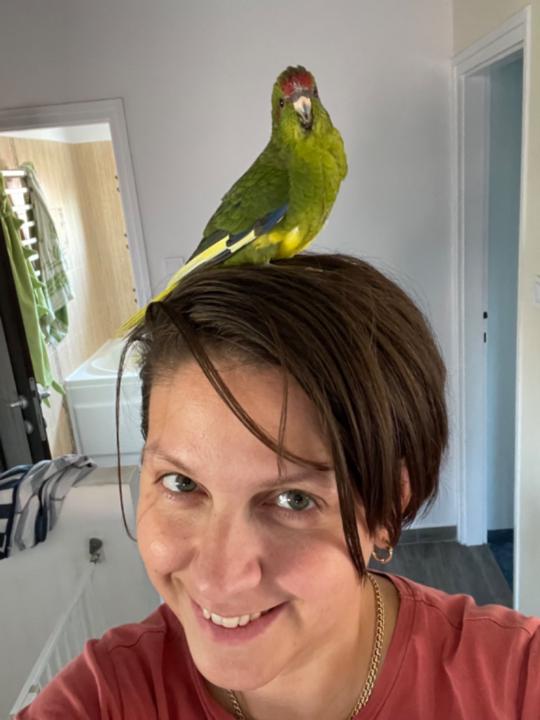 Zsuzsanna Tari-Szente