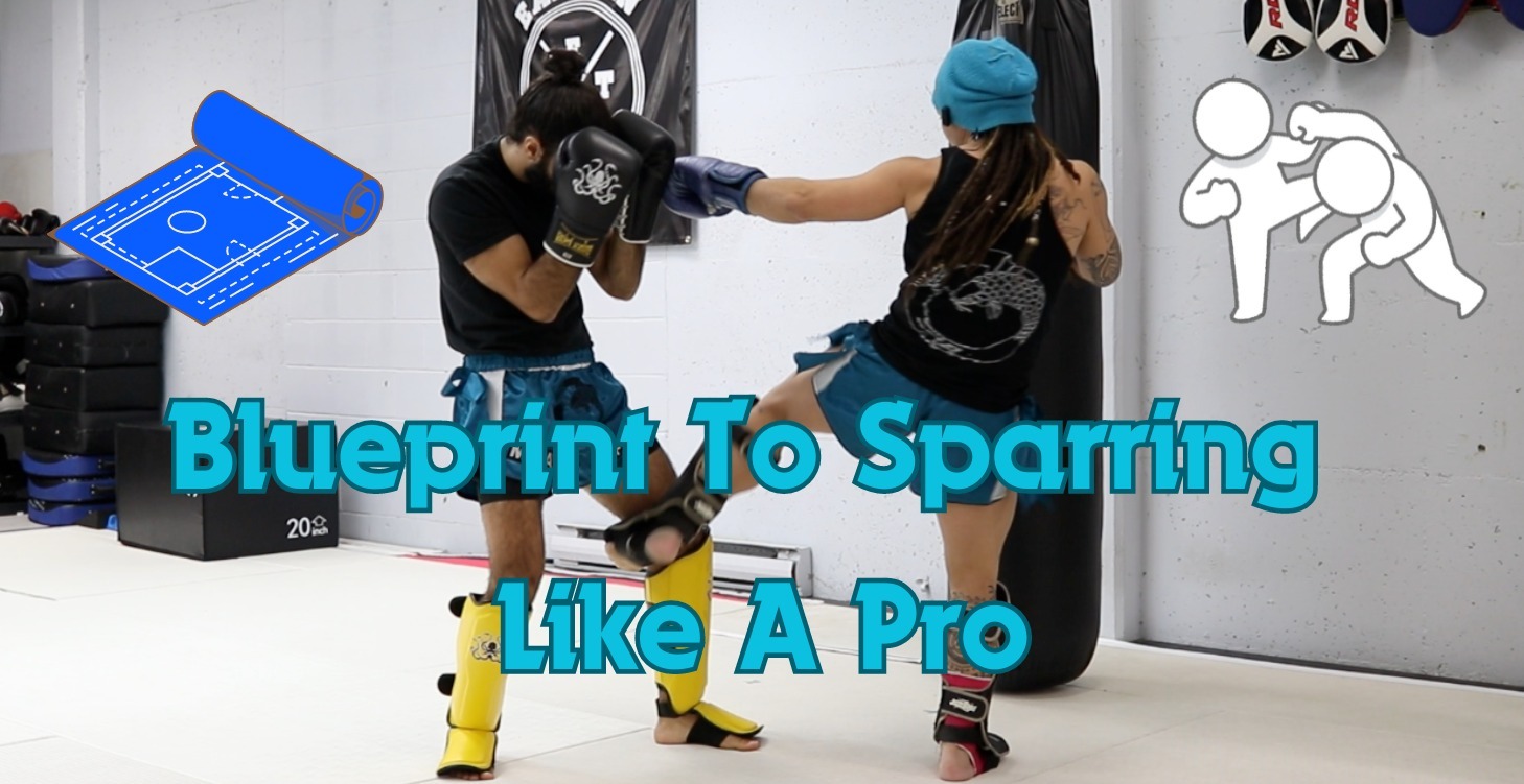 Blueprint To Sparring Like A Pro