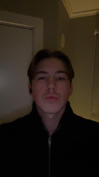 Joel Jonsson