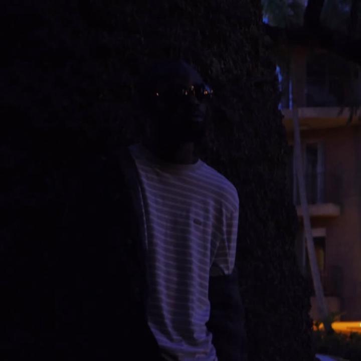 Tomi Shadows