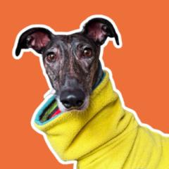 Simona Asistente Flow