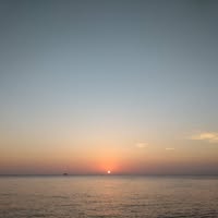 Javier Horta Ballesteros