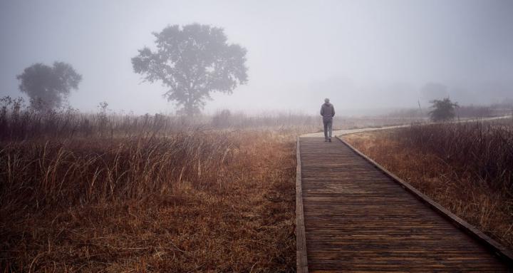 The Visual Storytelling Lab