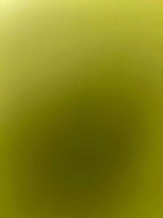 Samantha Flores Gomez