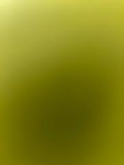 Samantha Flores Gomez