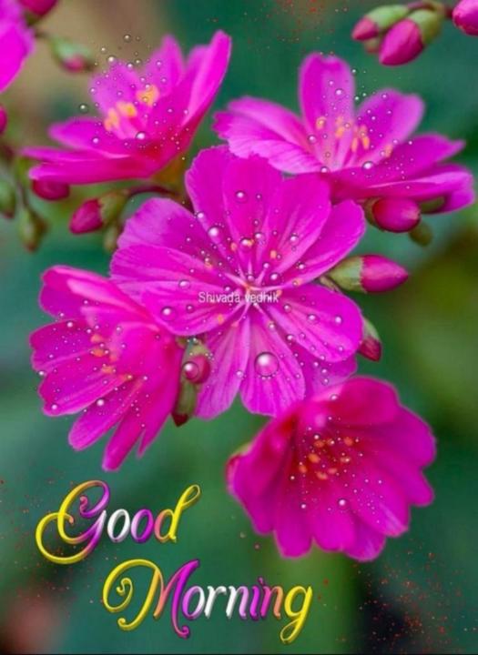 Ravish Anand