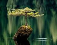 Stephania Mejias gonzalez