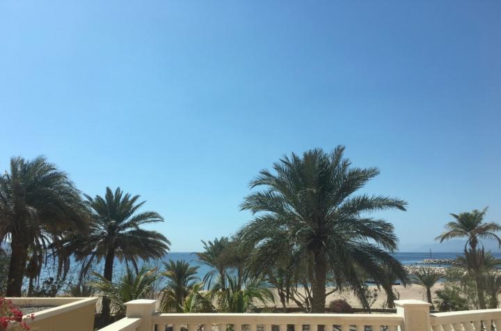 Abd al hamid Al saleh