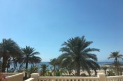 Abd al hamid Al saleh