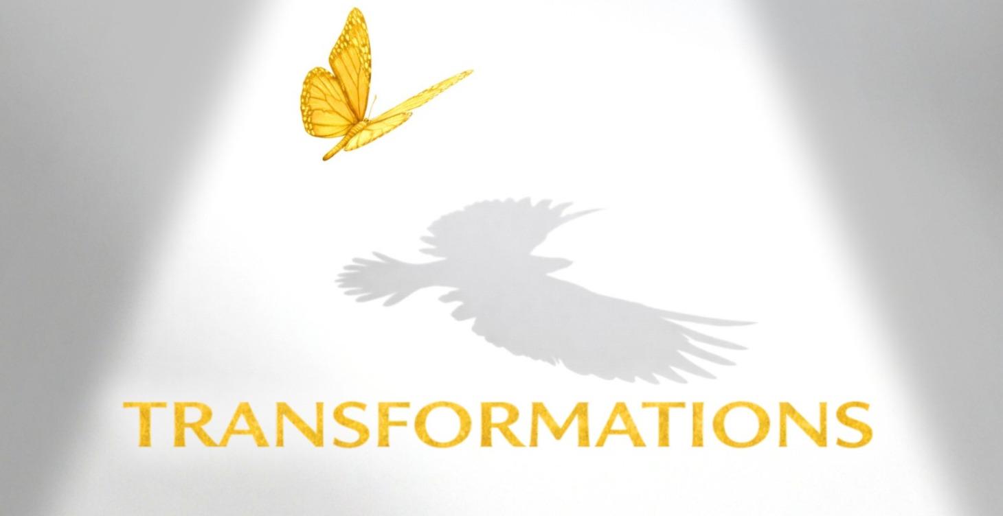 🪄 Transformations