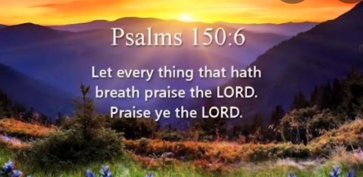 Praise the LORD ! 