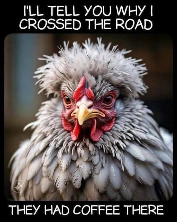 Some FUN humor this morning! 🤣🤣🤣