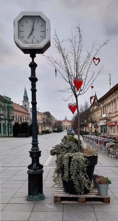 Vesna Stakic