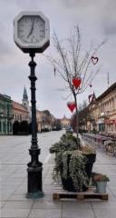 Vesna Stakic