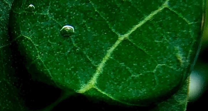 Astrology For Beginners