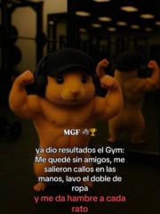 Marcos Teresa