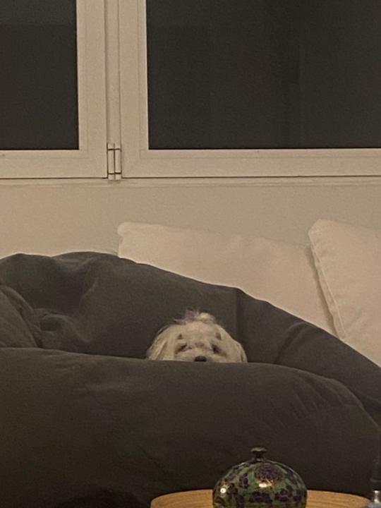 Raquel García Rodríguez