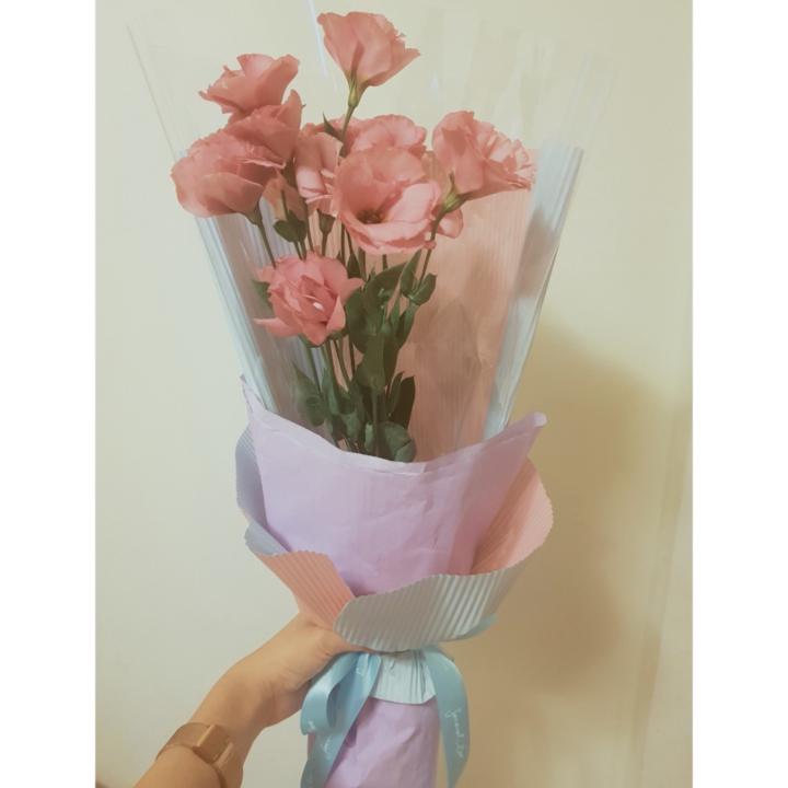 張 栯菱
