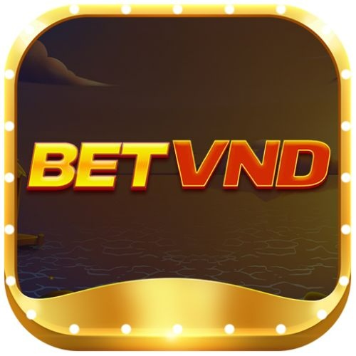 Betvnd App