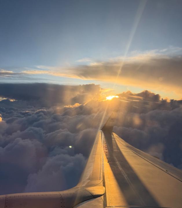 Liz Holand