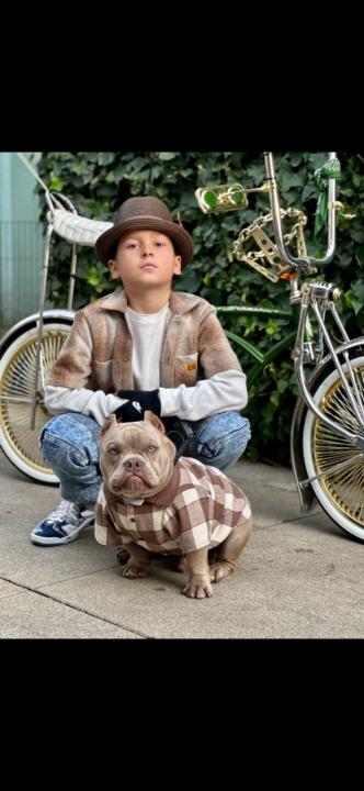 Gavin Mestas