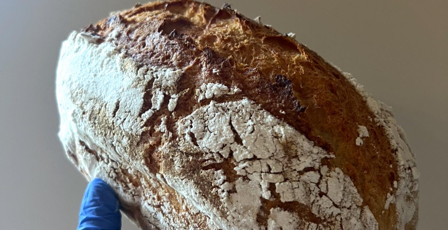 Learn Gluten Free Sourdough - Live Baking Class