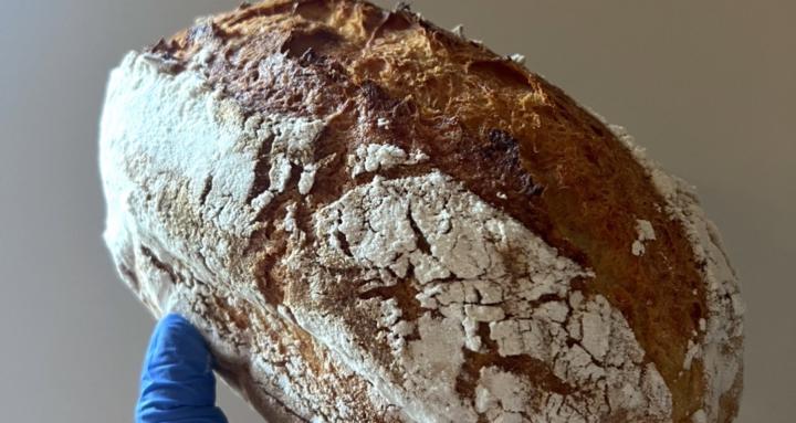 Wild Blooms GF Sourdough