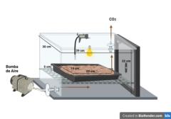 Nolberth Gustavo Reascos Ayavaca