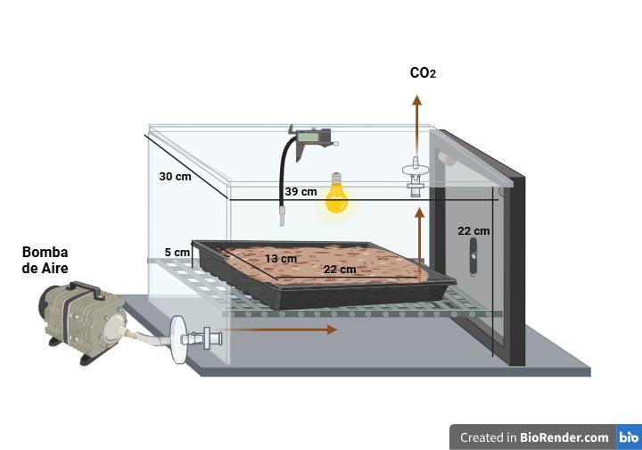 Nolberth Gustavo Reascos Ayavaca