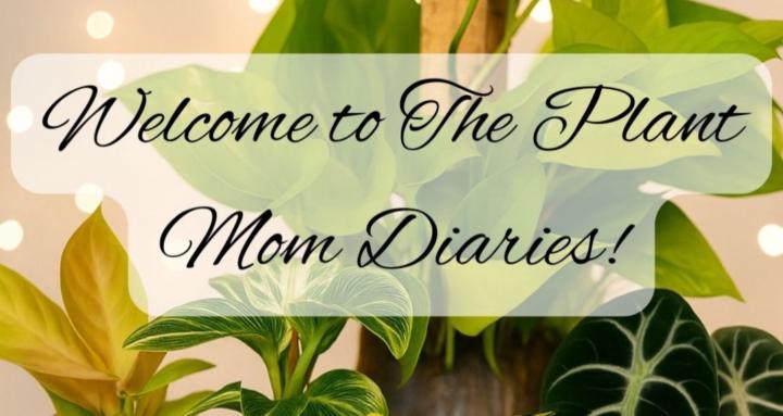 Plant Mom Diaries