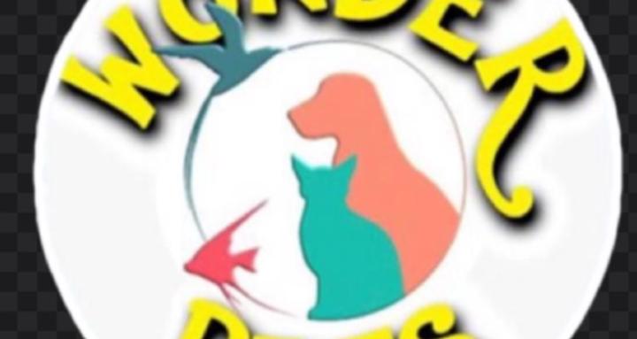 Wonderpetscorp