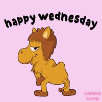 Happy midweek! ❤️