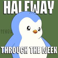 Wednesday check-in!