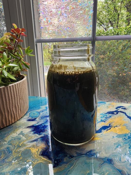 Day 2: 5-Day Smoothie Glow-Up