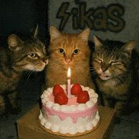Let's wish Jes a Happy Birthday!