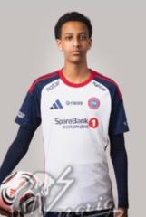 Nael Tseghu