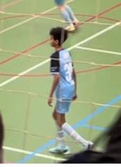 Nael Tseghu