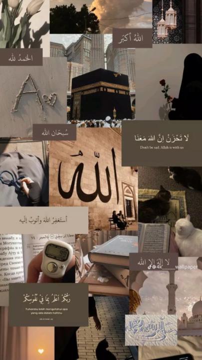 Zain Ali