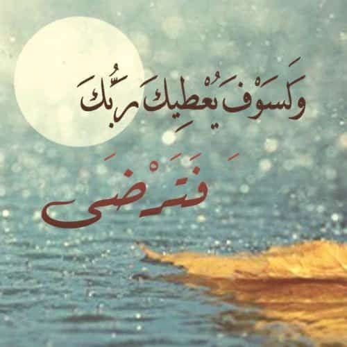 Shereen Mohammed Elhassan