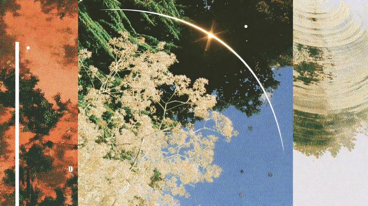 🔥 Actualización rápida: Perplexity va hacia IA que no solo responde, sino actúa