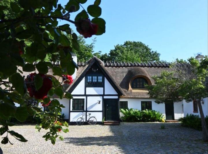 Miks Moksen
