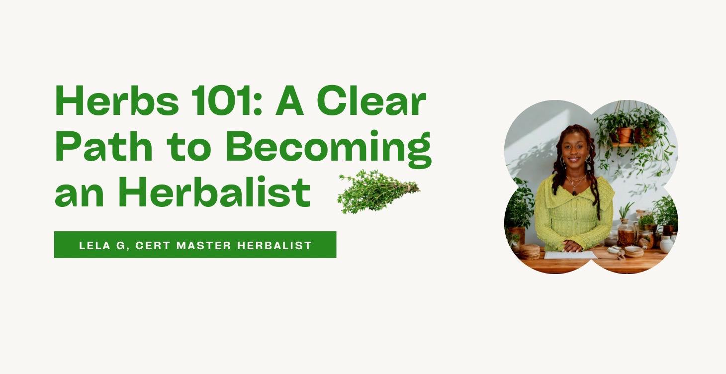 Herbs 101: A Clear Path to Becoming an Herbalist