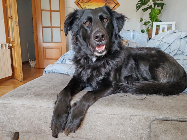 Carrasco escudero Laura