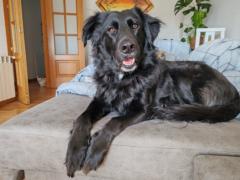 Carrasco escudero Laura