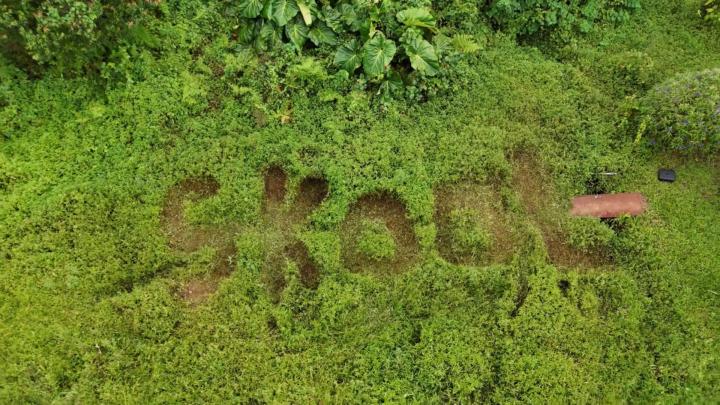 Pourquoi rejoindre une communauté Skool ?