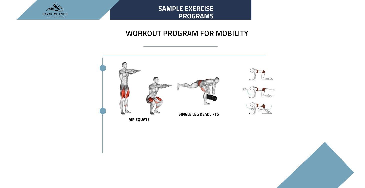 Basic Movement Program