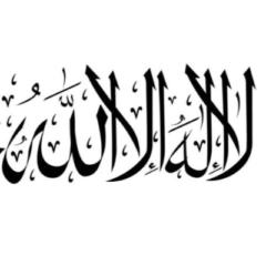 Rida Akbar