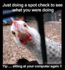 Patricia Buoncristiani