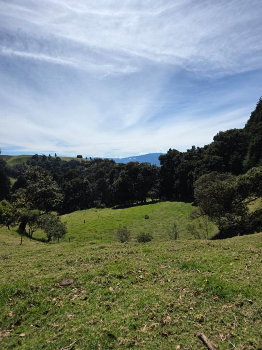 Leidy Quirós Padilla